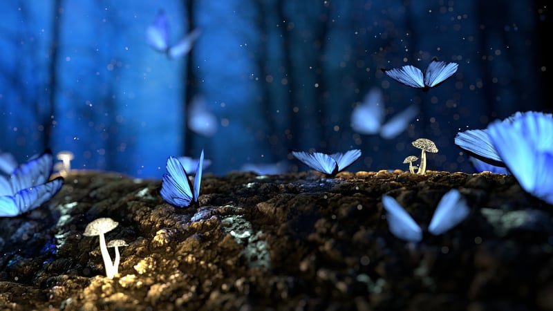 Enchanted Forest Clearing